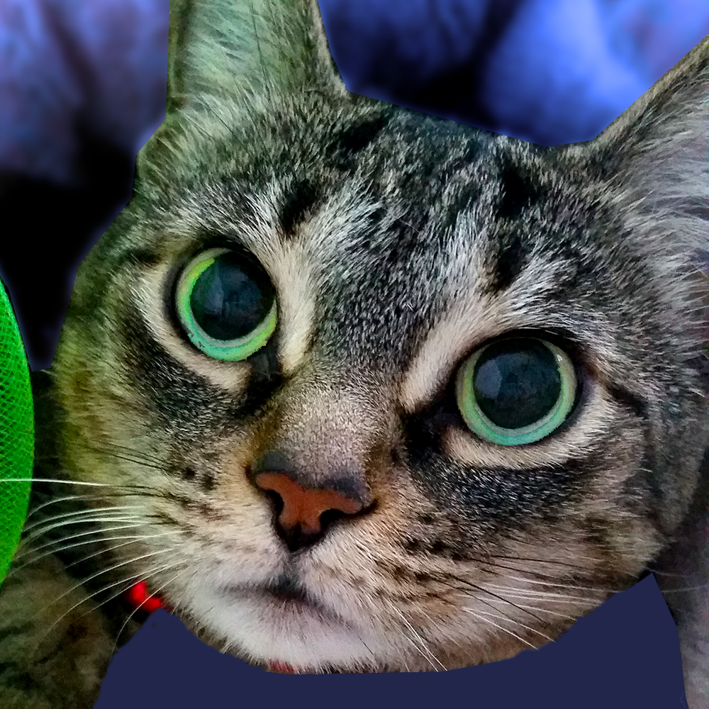 The Story Behind the Artwork of Kitty the Blue Purple Tabby Cat puzzle, by Melinda Tomasello Art. Read about how this precious beloved cat endured the elements, over came obstacles, and persevered with love and determination.